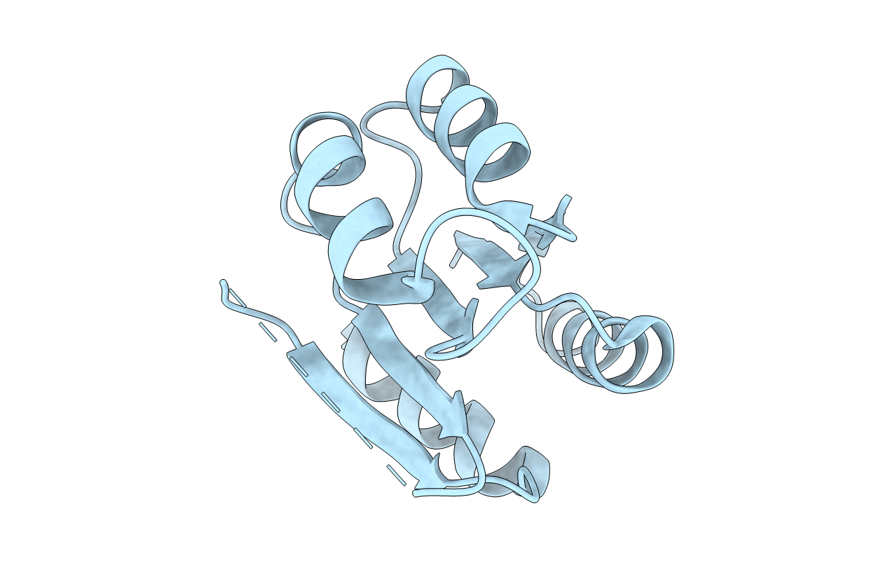6TNE image