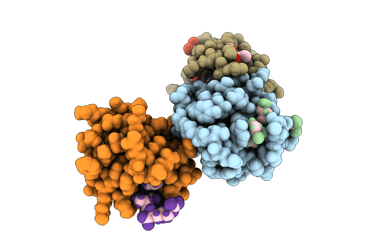 6TNQ image