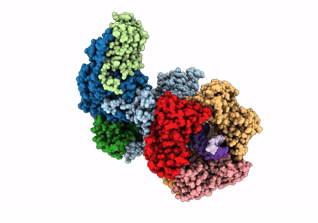 6TNZ image