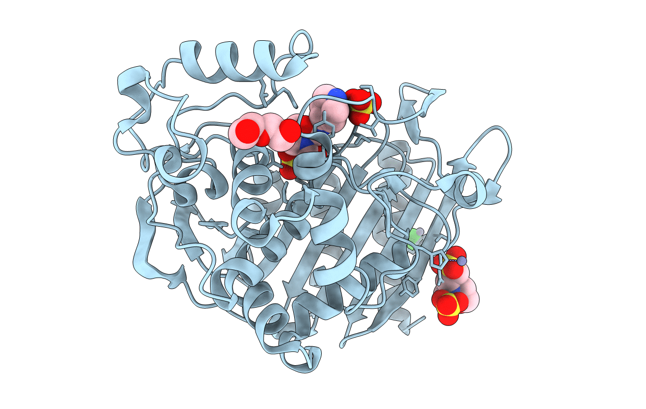 6TPM image