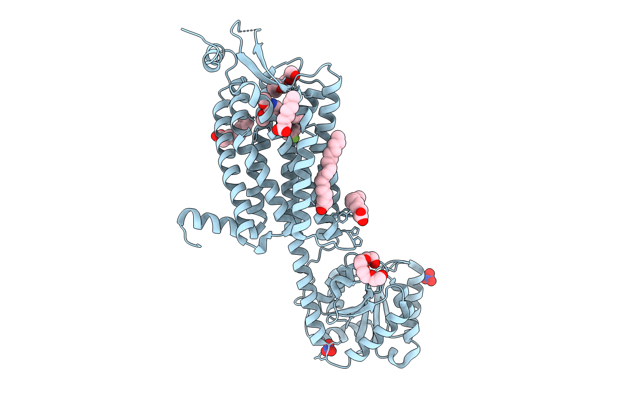 6TPN image