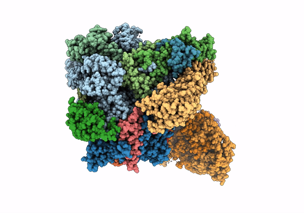 6TPS image