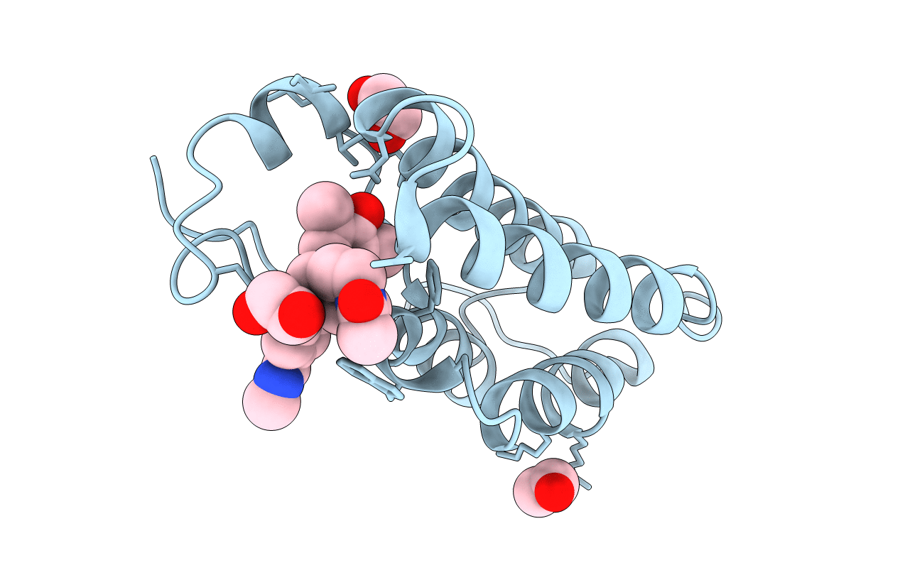 6TPX image
