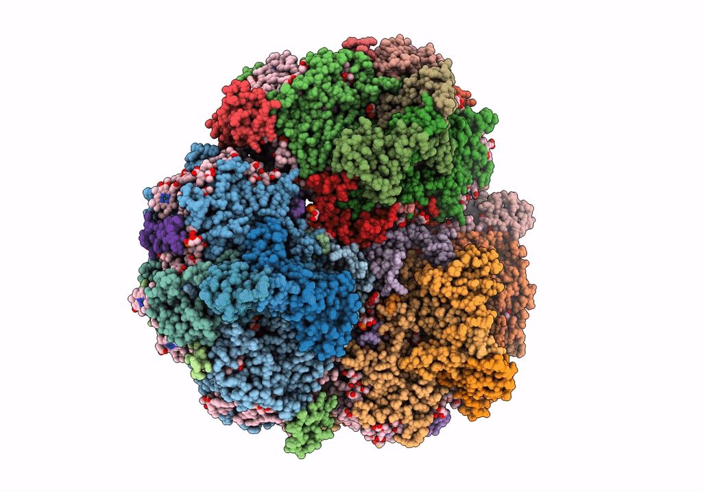 6TRC image