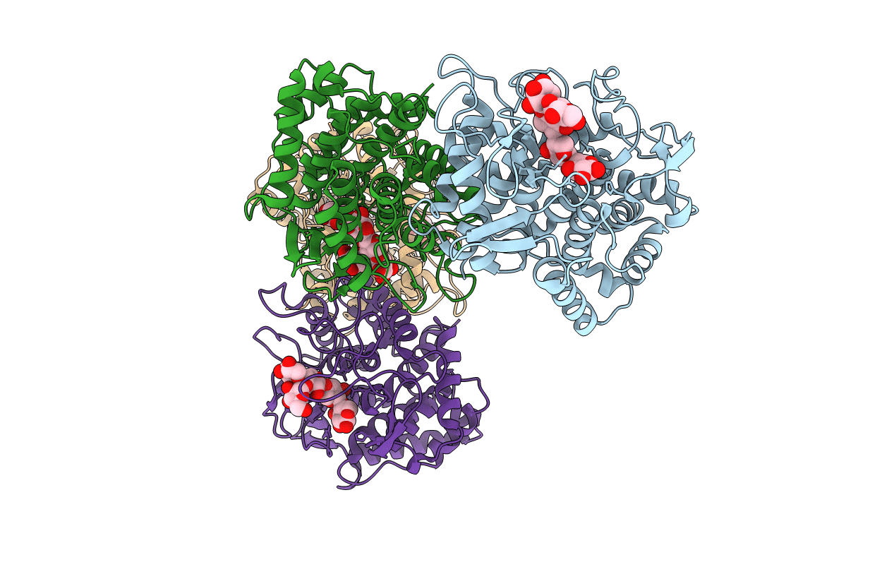 6TRH image