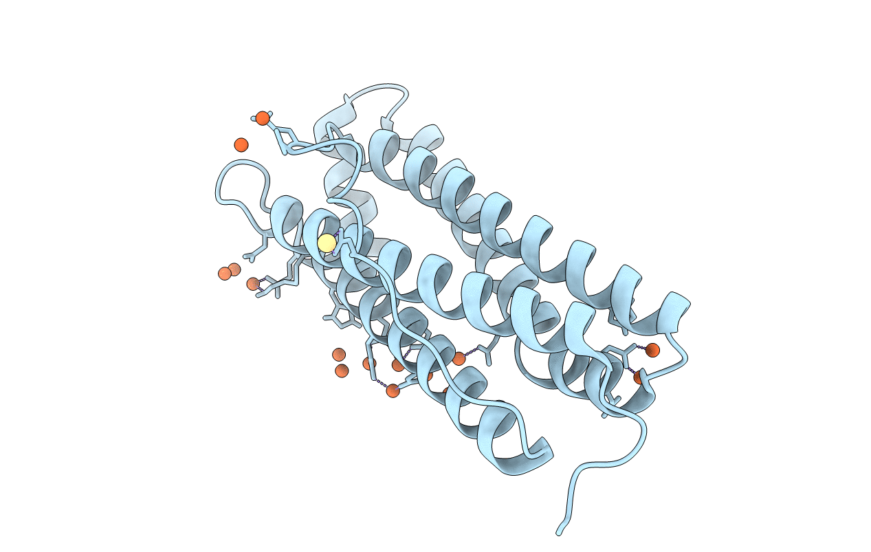 6TSX image