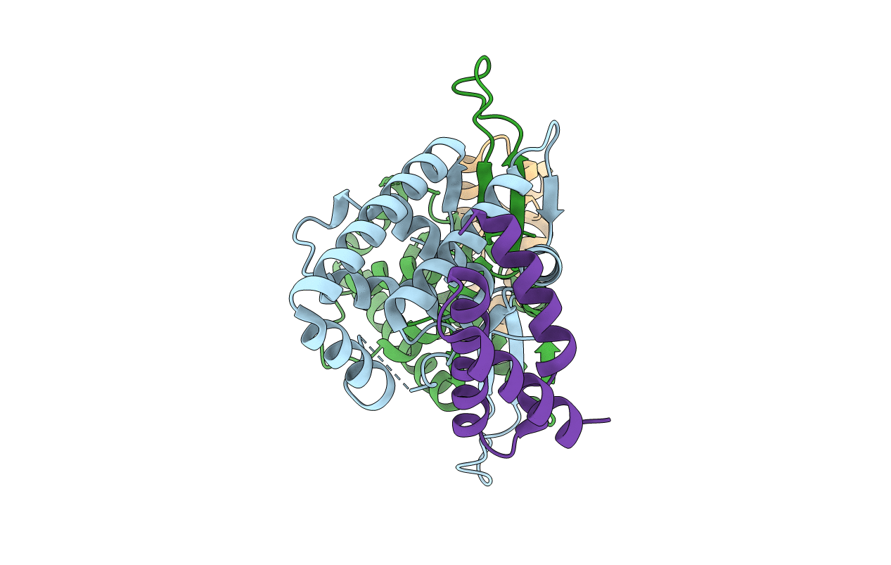 6TUN image