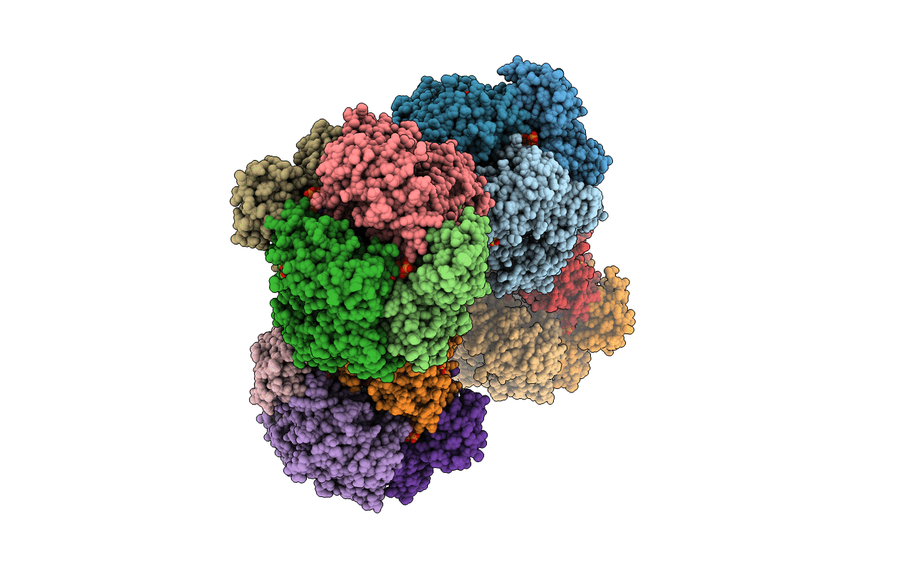 6TXA image