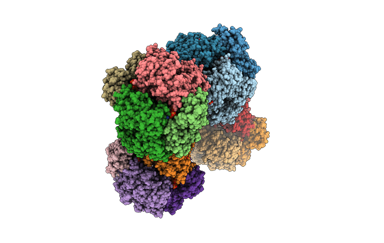 6TXC image