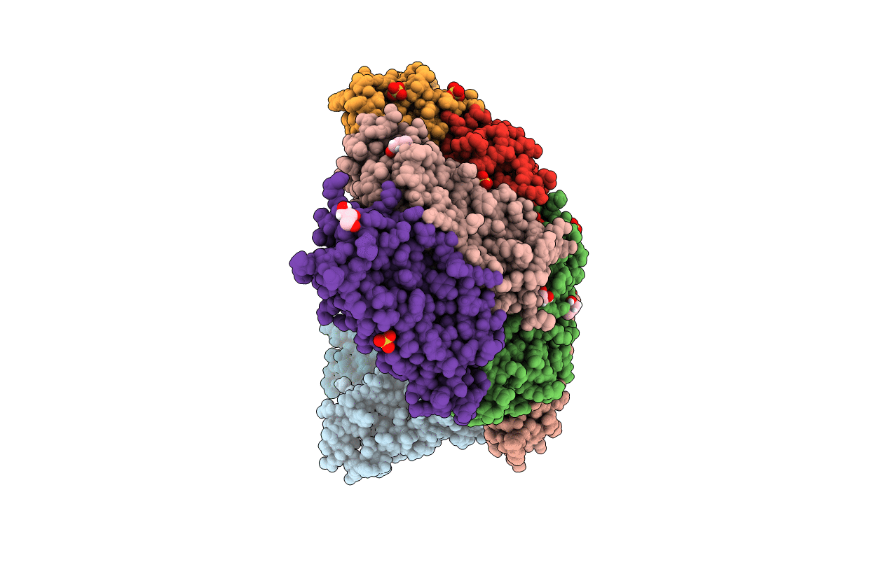 6TXN image