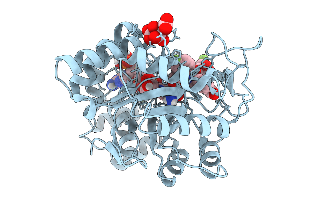 6TXP image