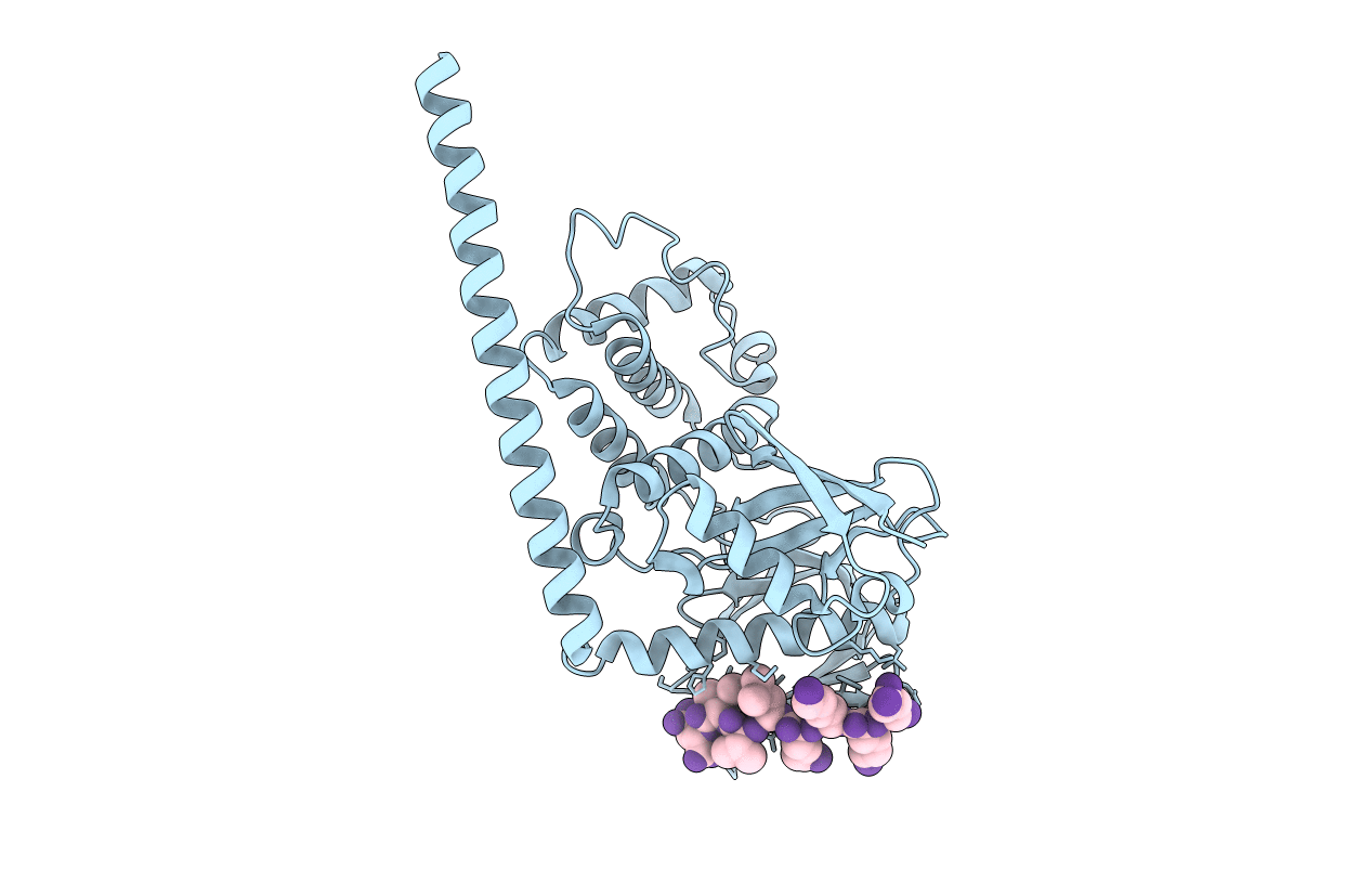 6TXS image