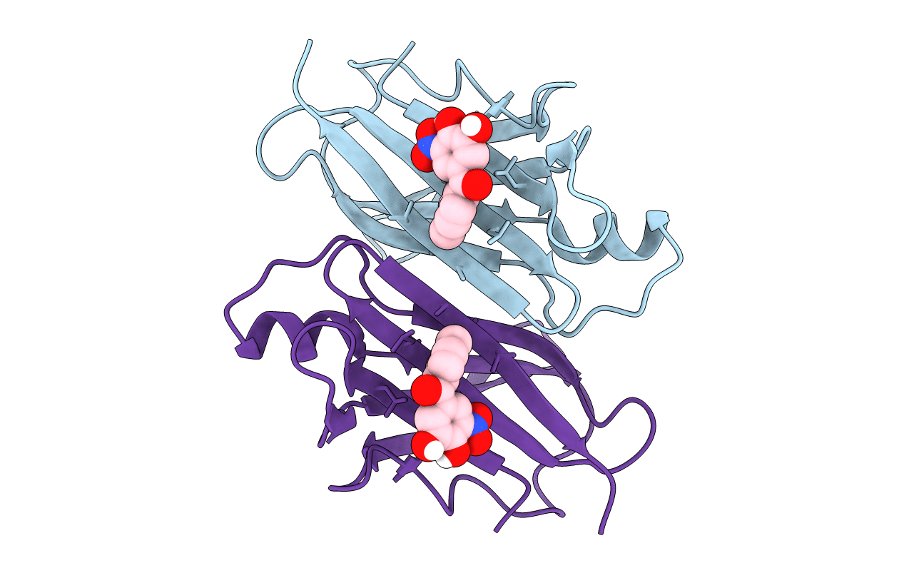 6TXV image