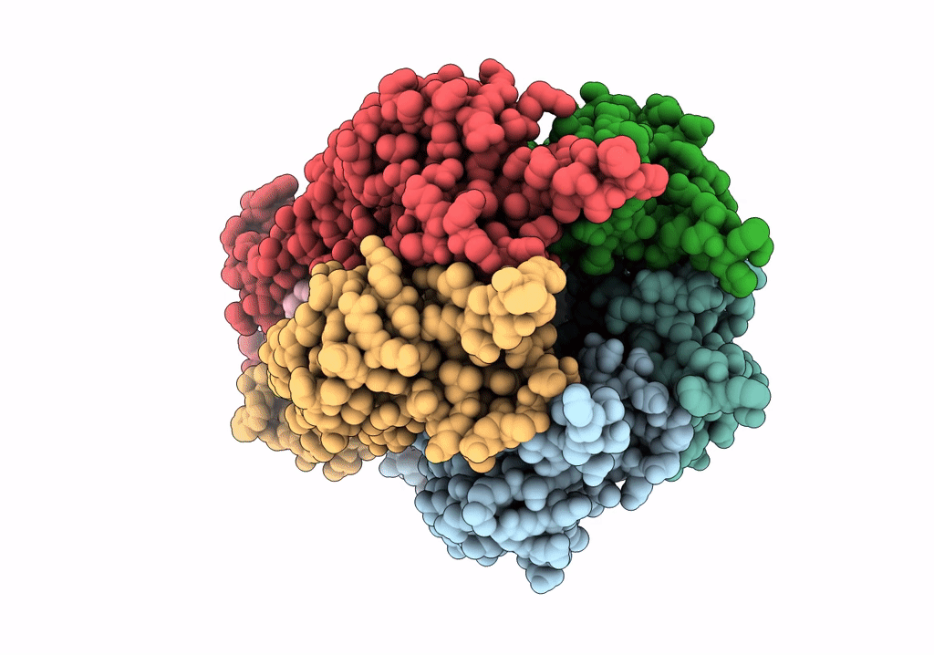 6TYI image