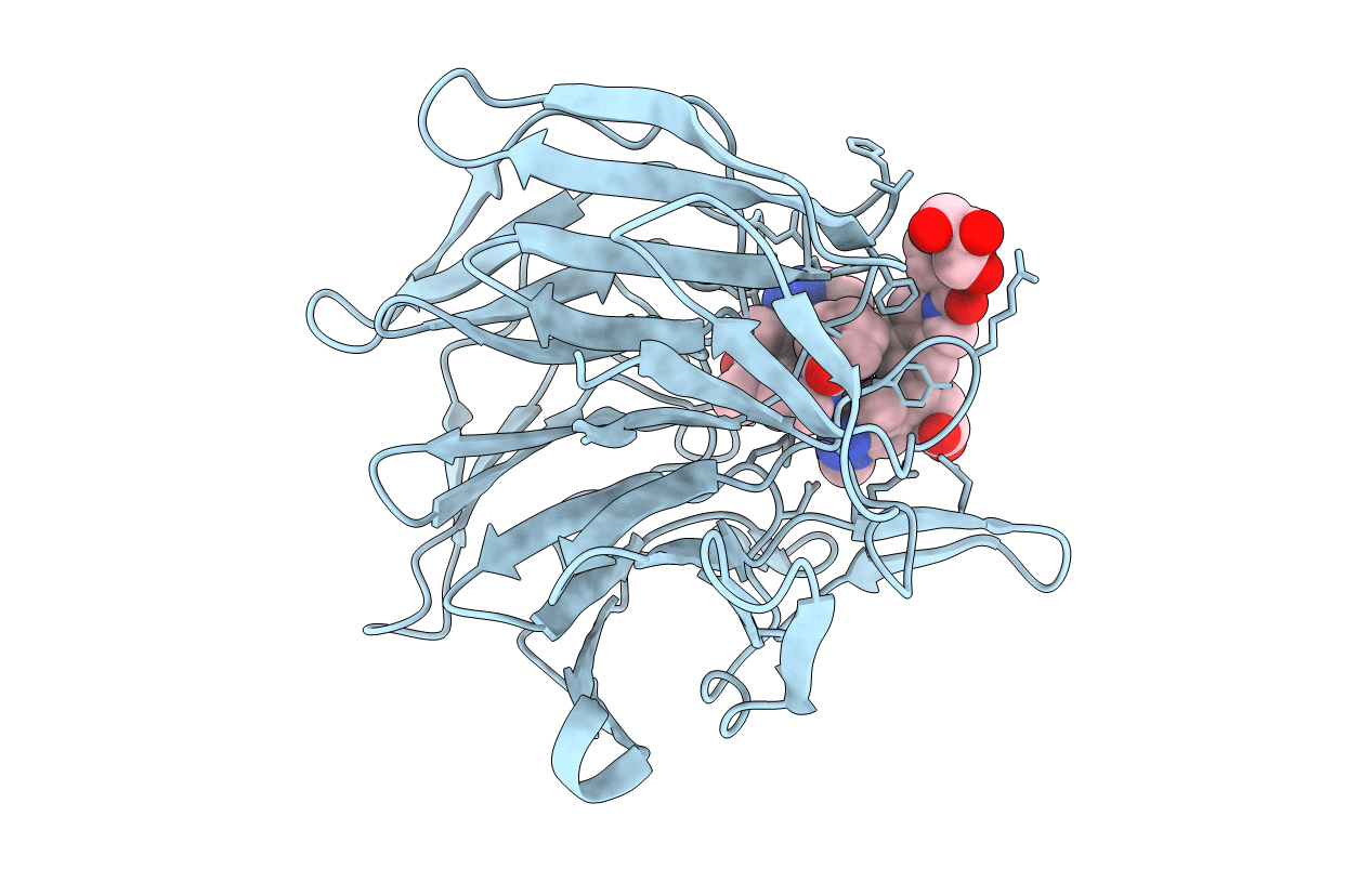 6TYM image