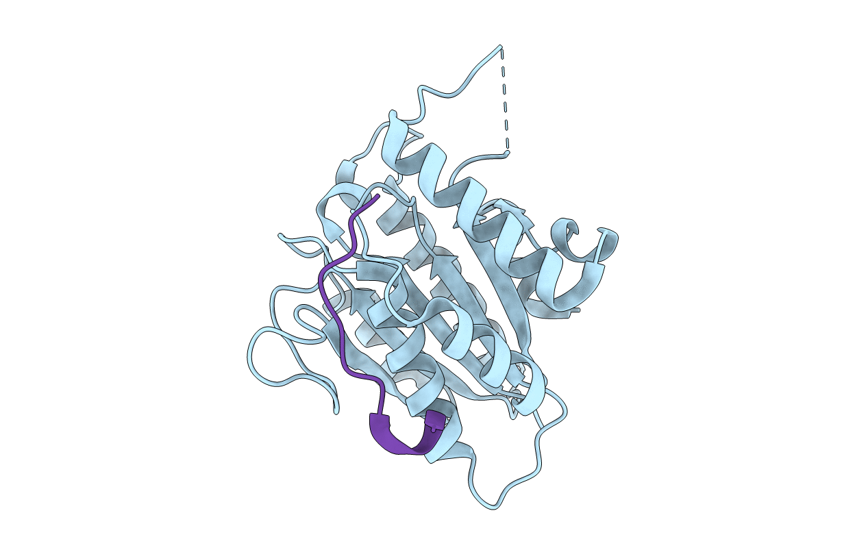 6TYV image
