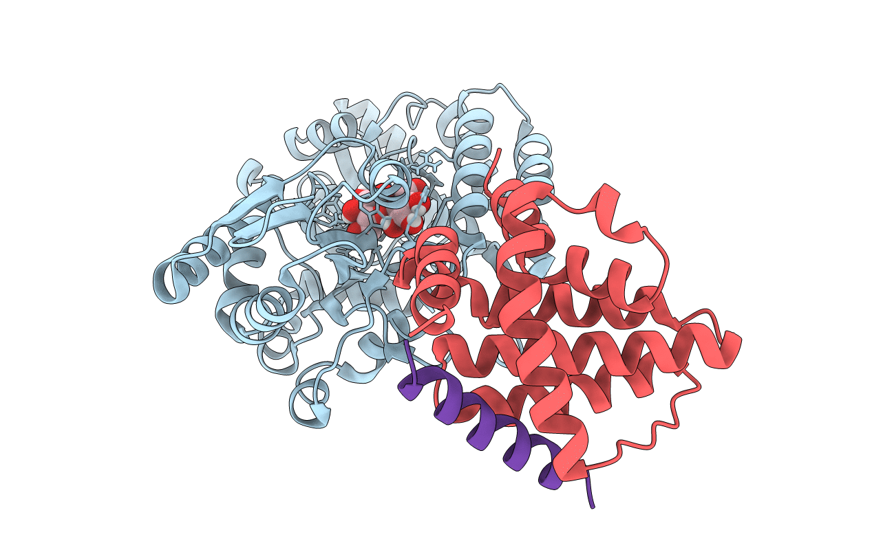 6TZC image