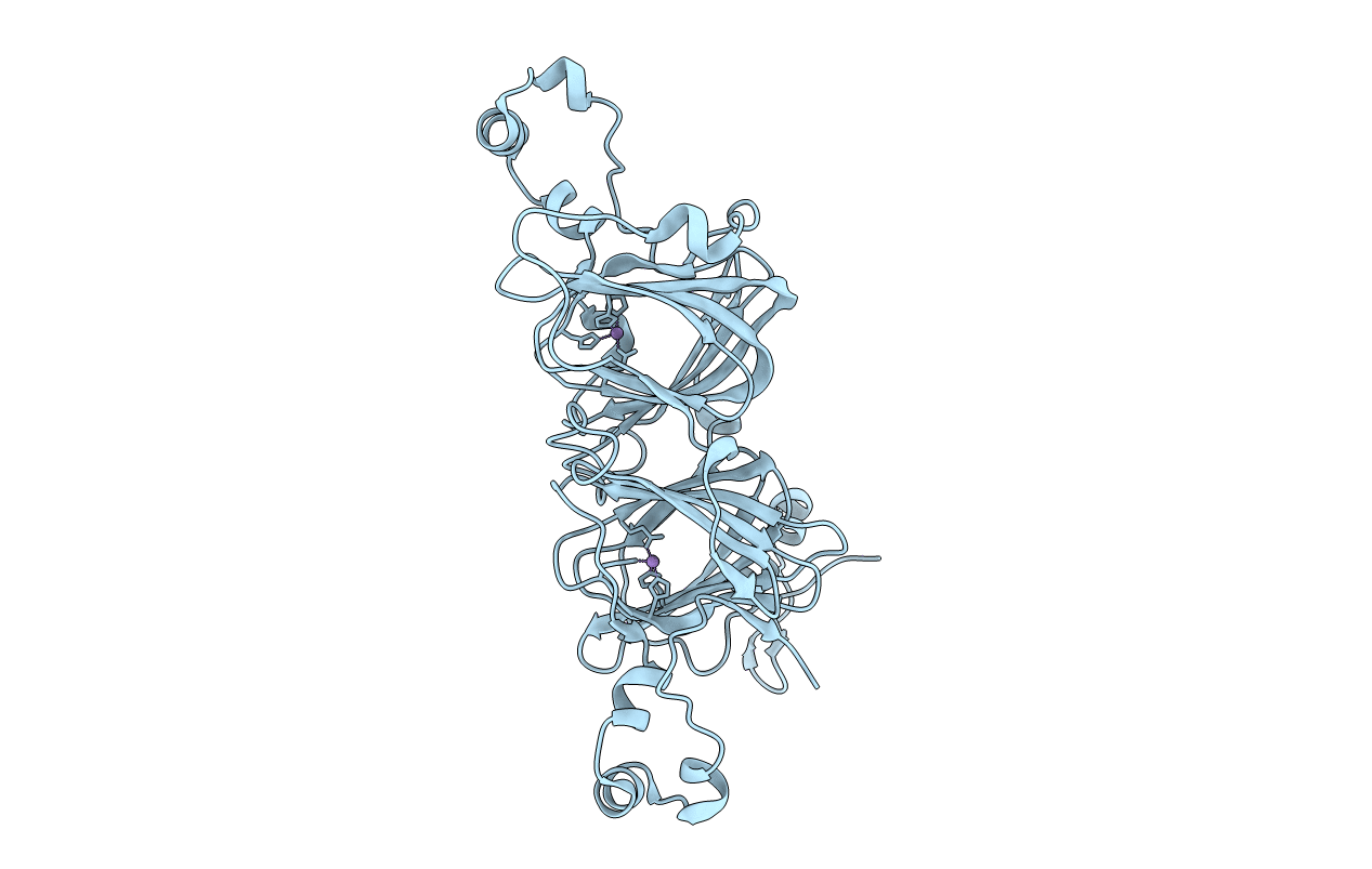 6TZP image