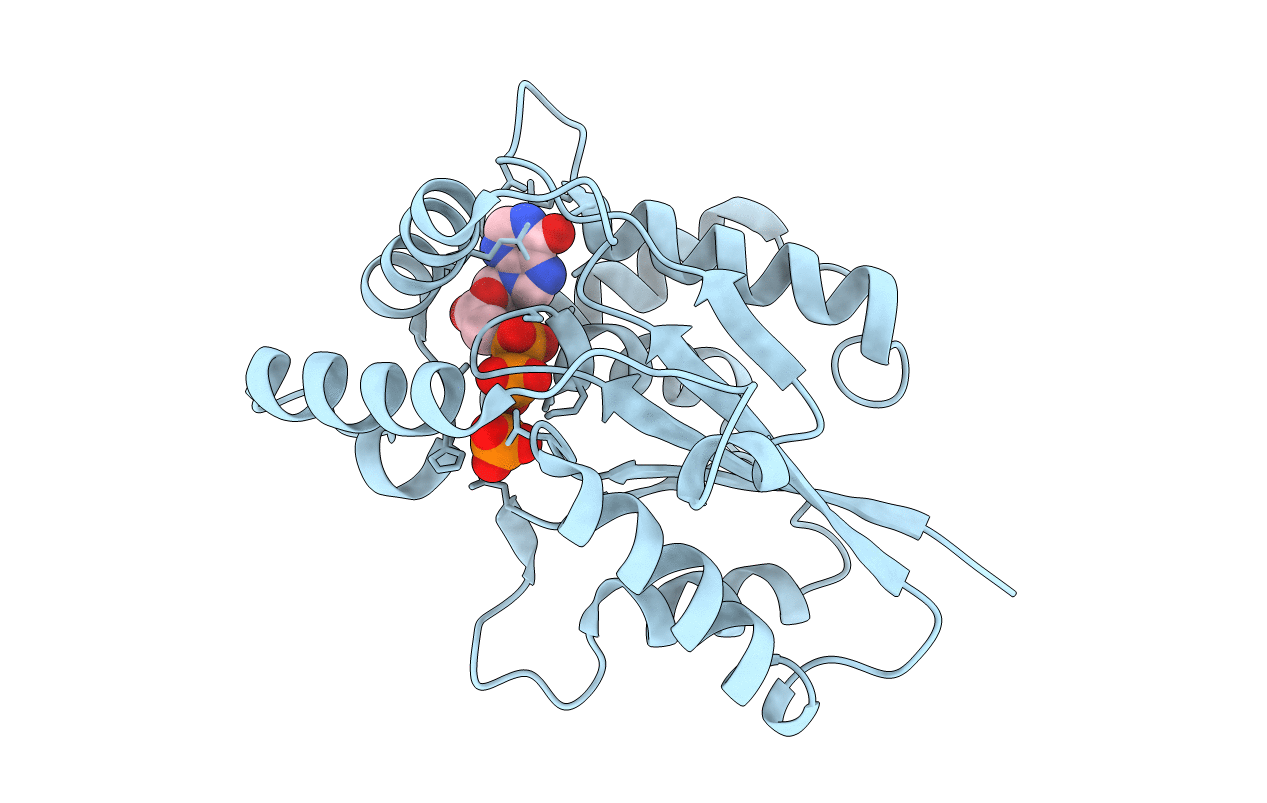 6TZX image