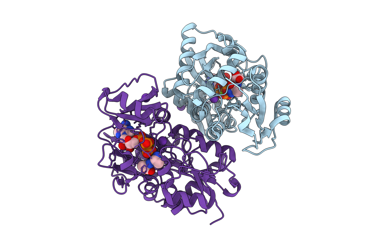 6U1D image