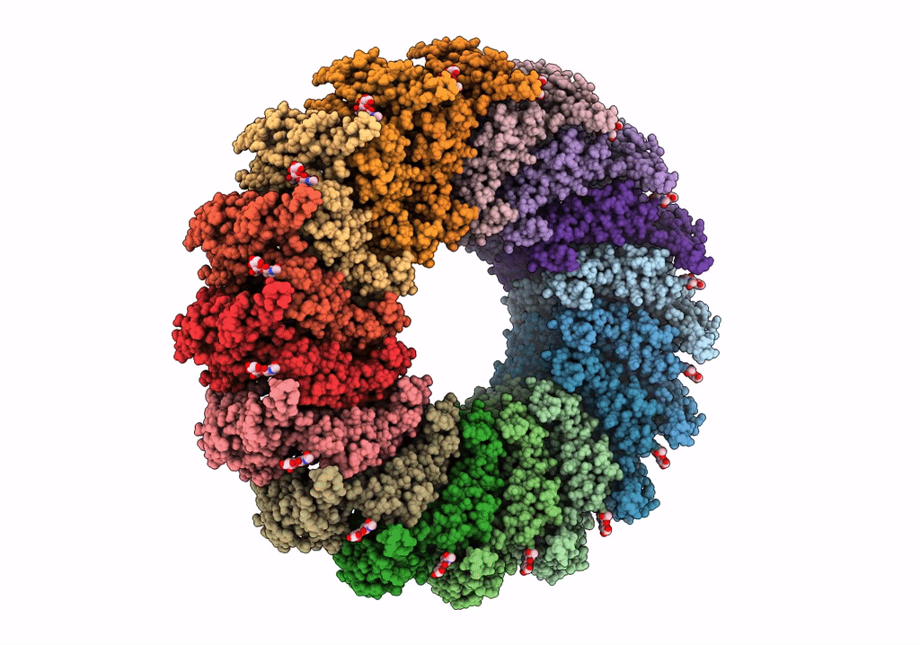6U2W image