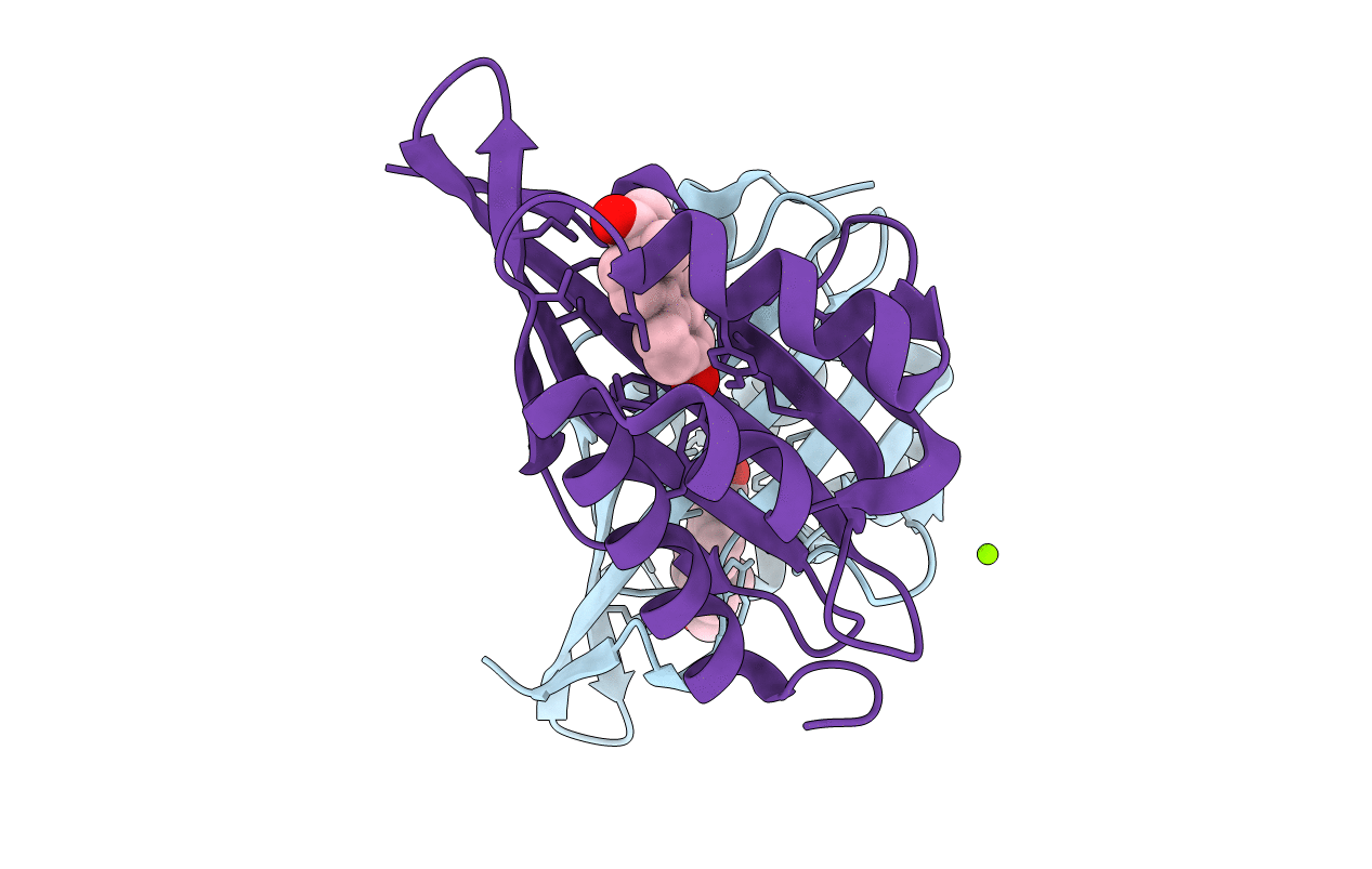 6U4I image