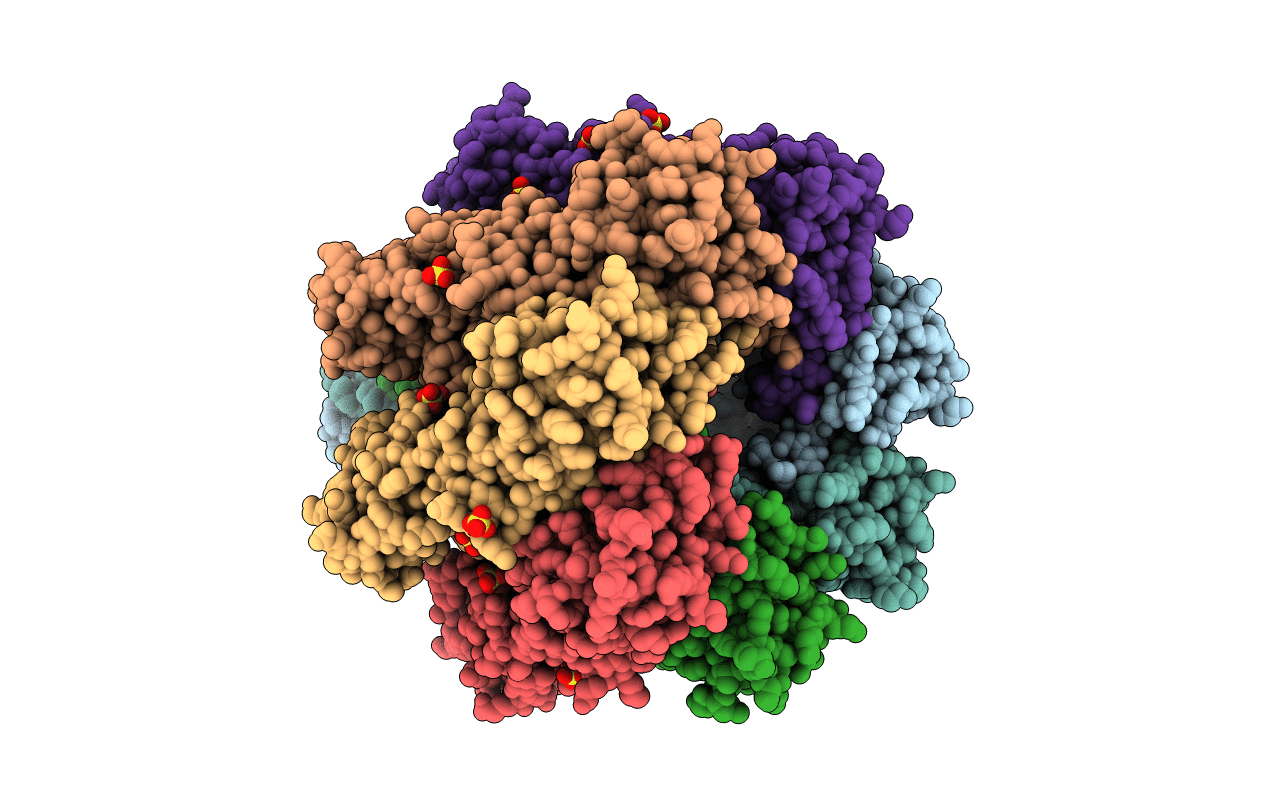 6U4P image