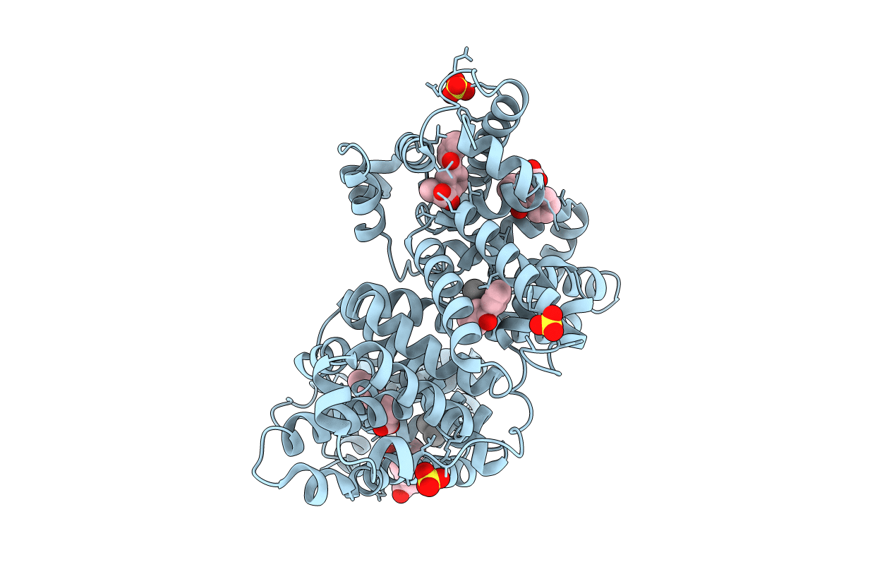 6U4R image
