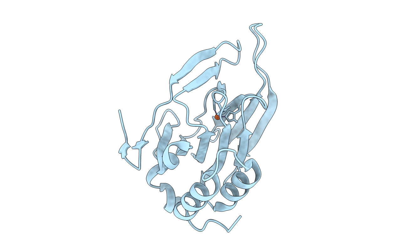 6U4S image