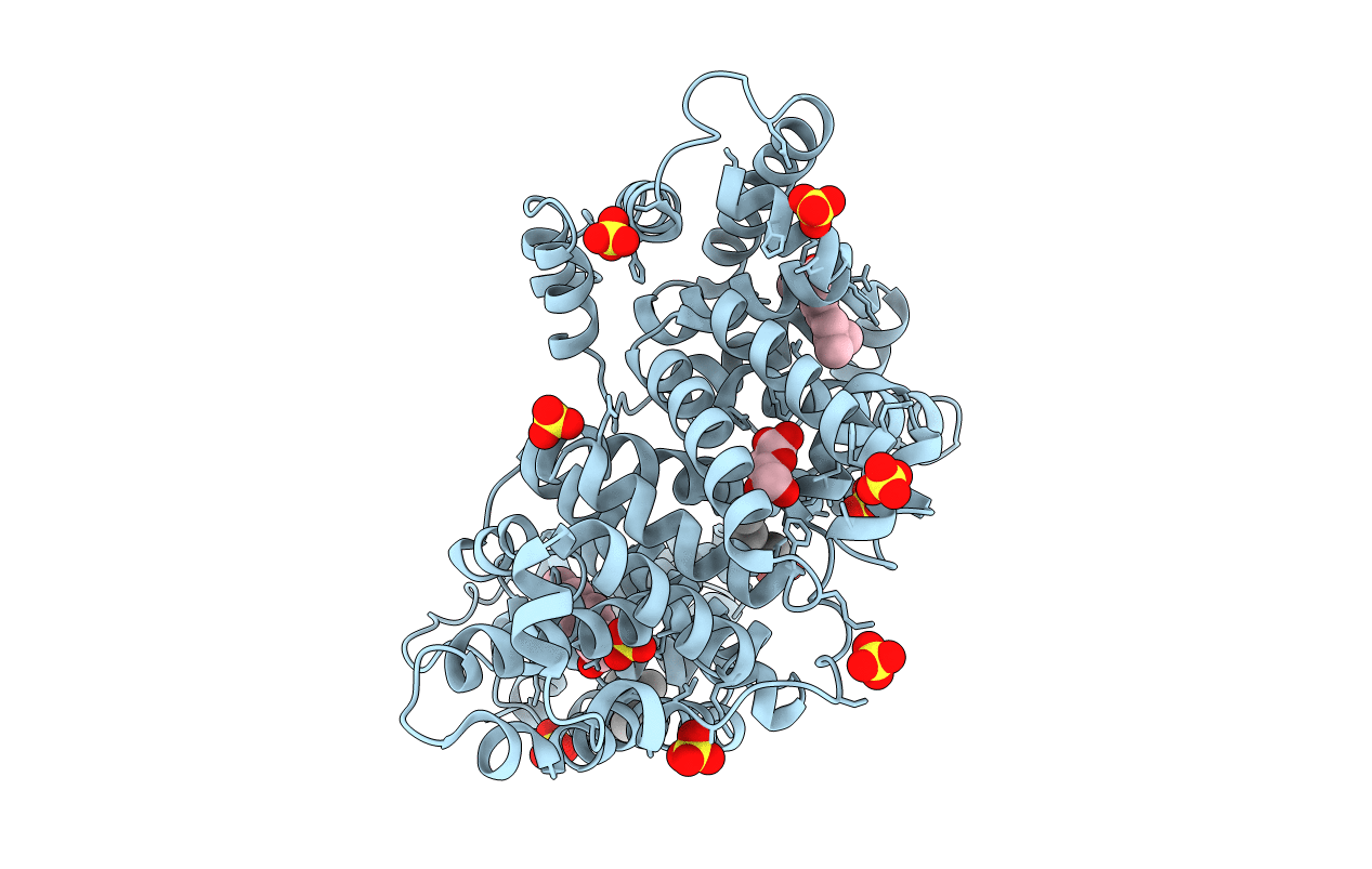 6U4X image