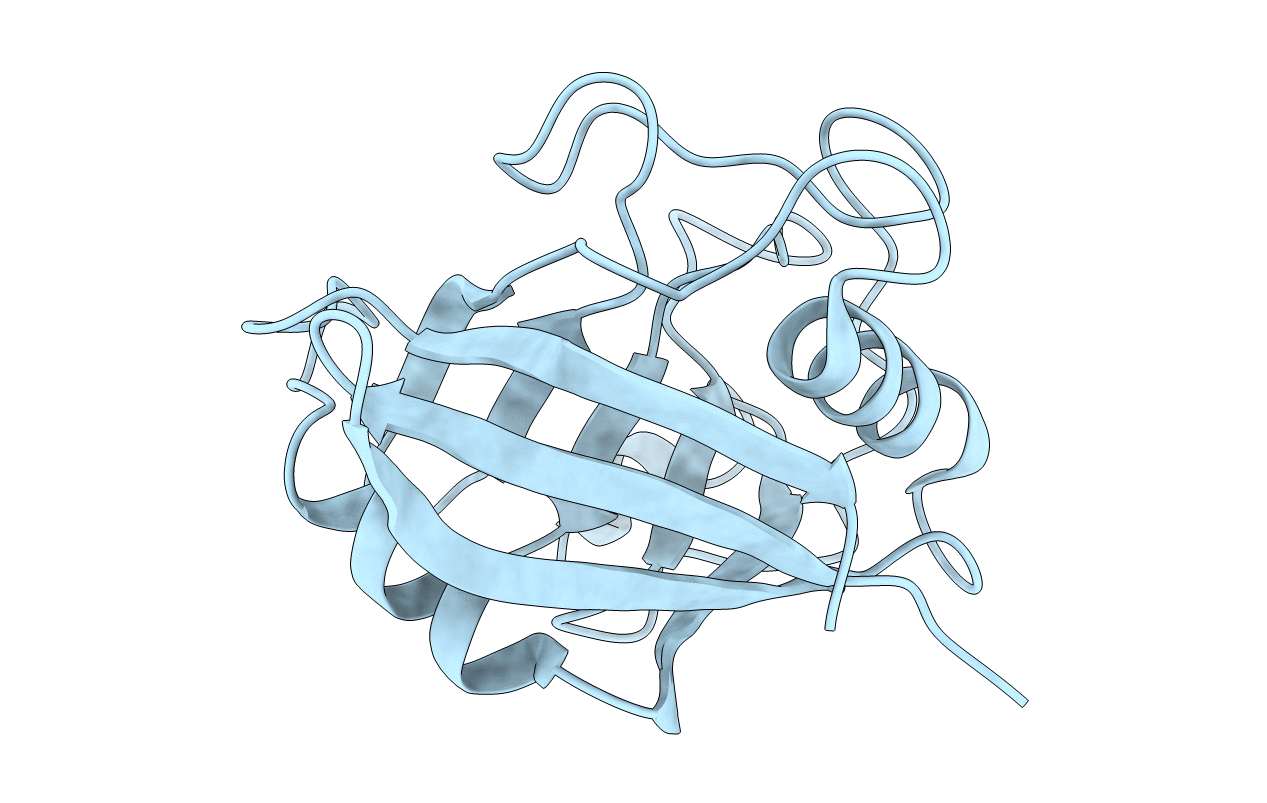 6U5D image