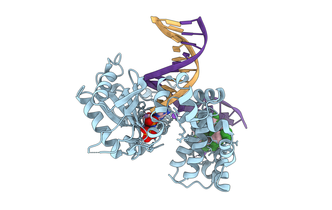 6U6B image