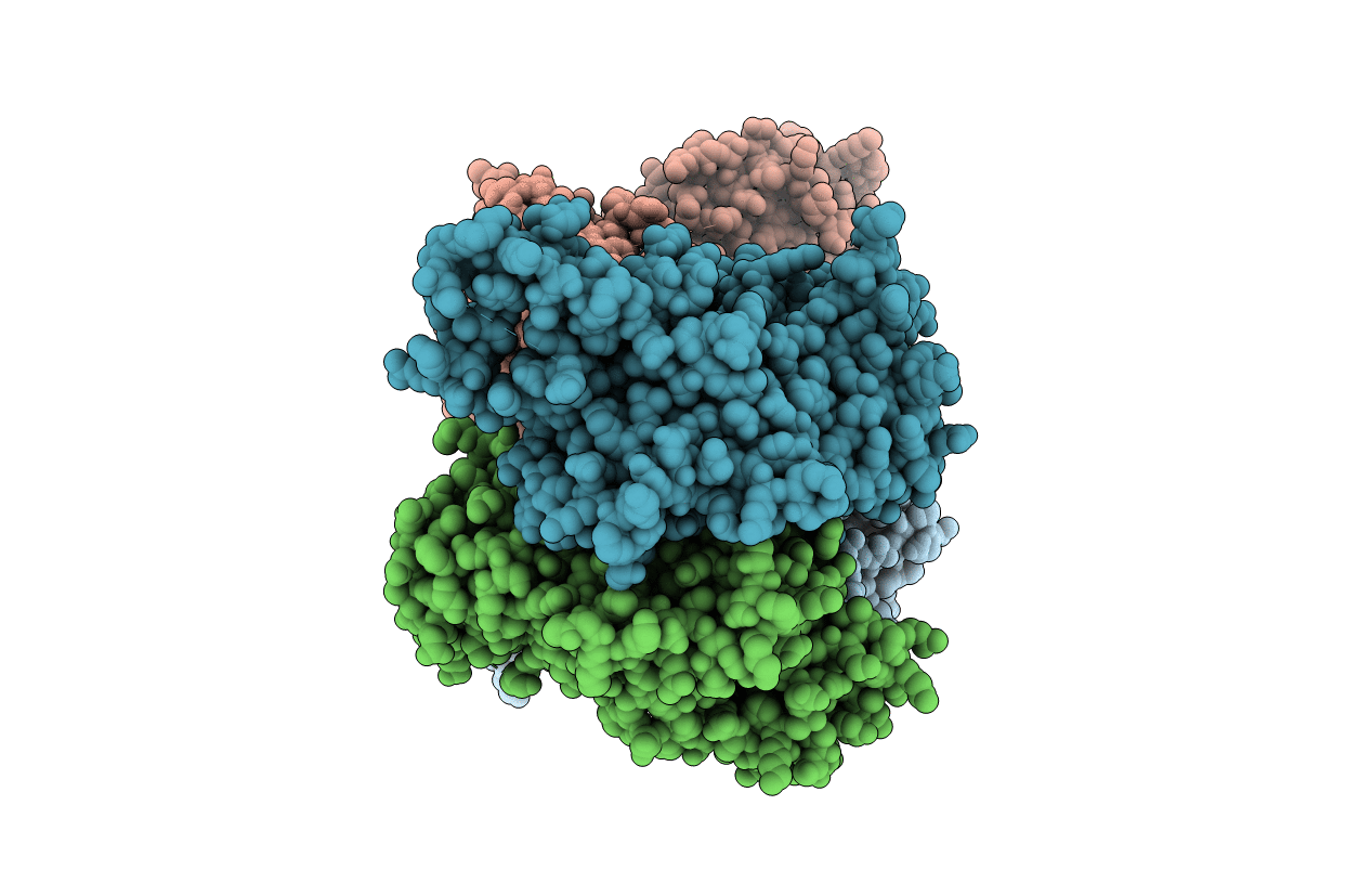 6U6X image