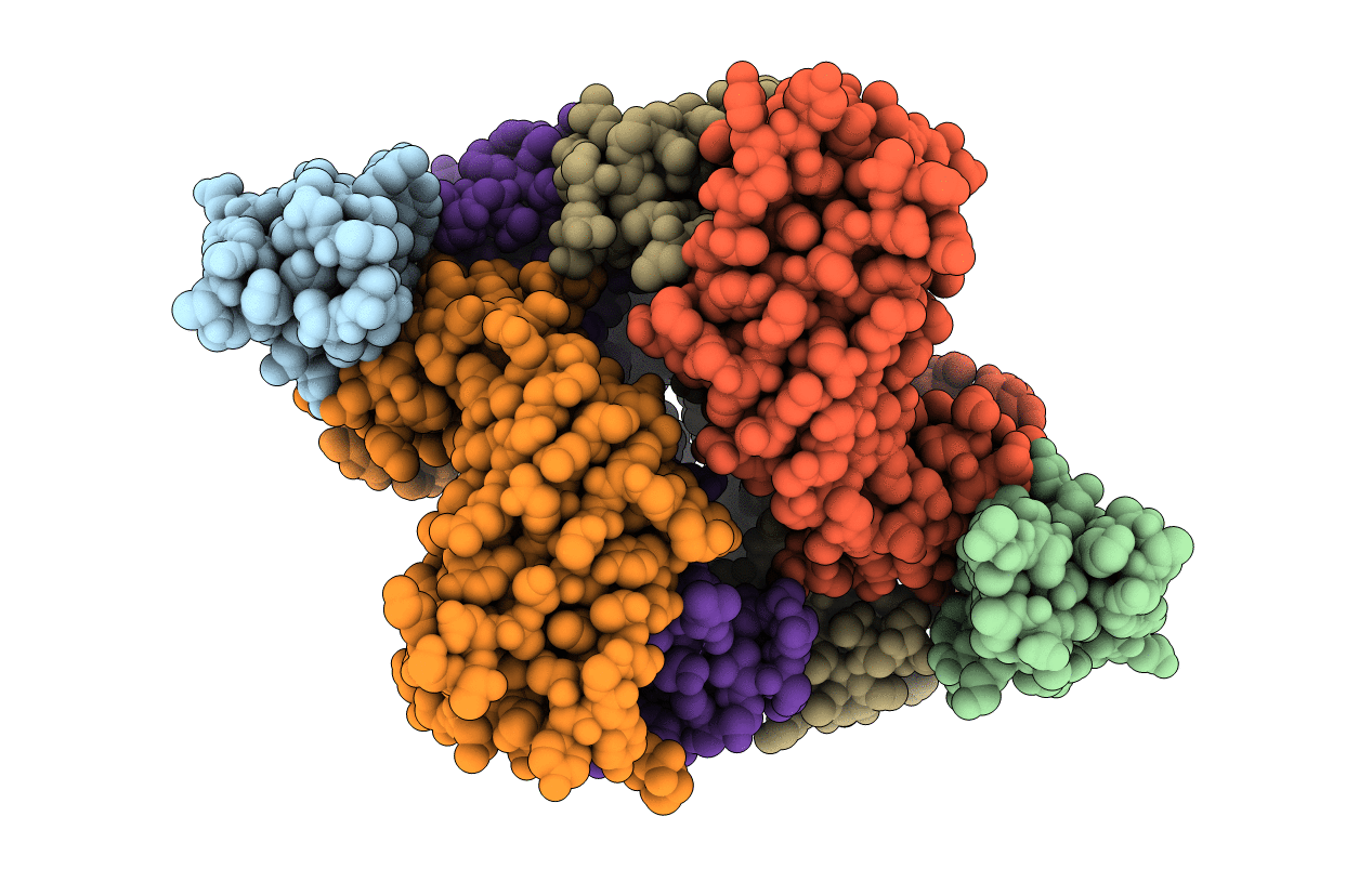 6U8C image