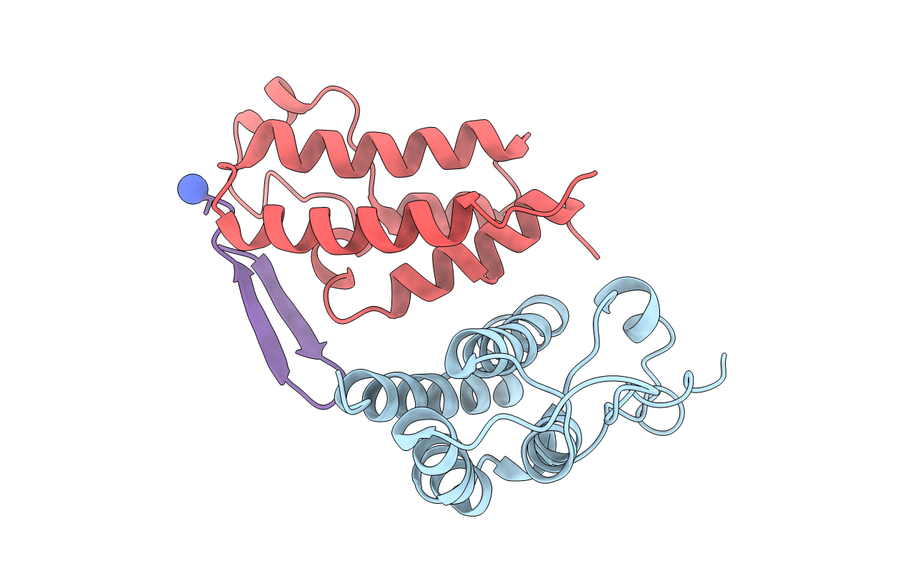 6U8M image