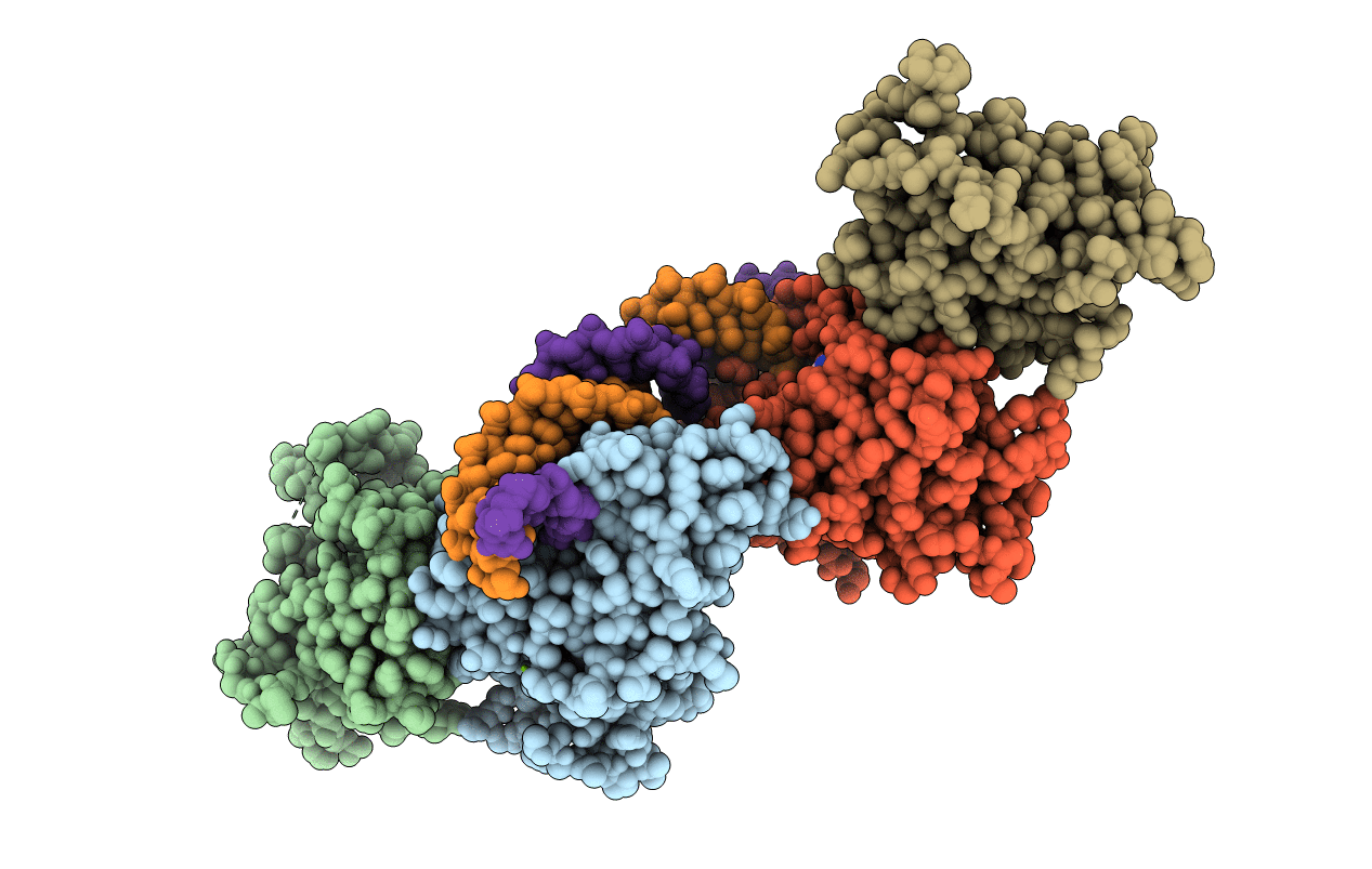 6U8V image