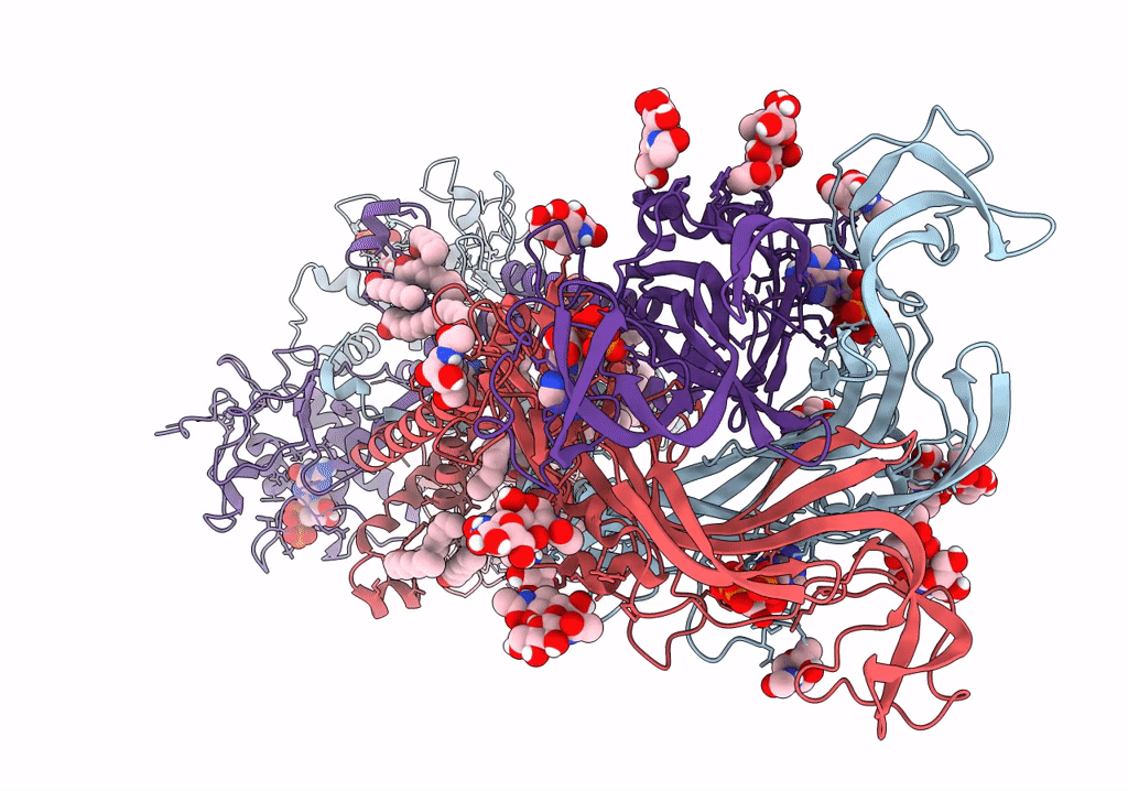 6U9W image