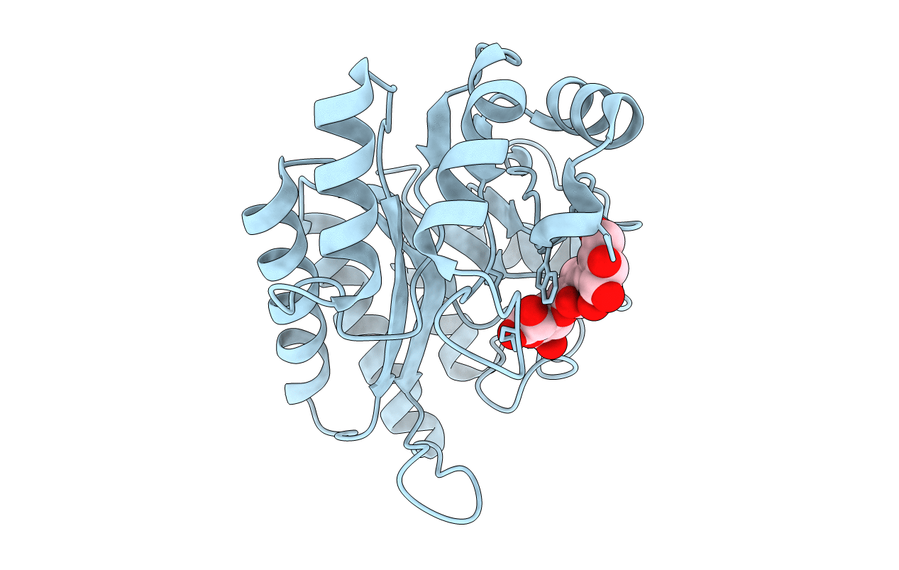 6UAR image