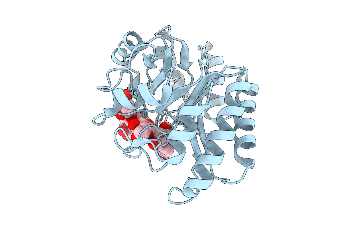 6UAT image
