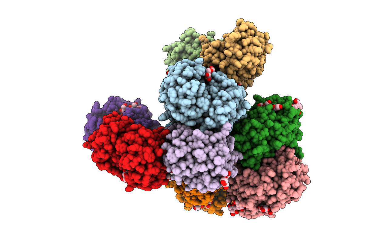 6UBA image