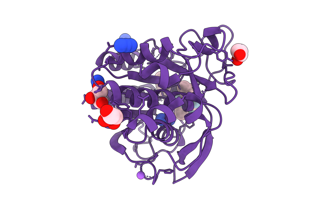 6UBE image