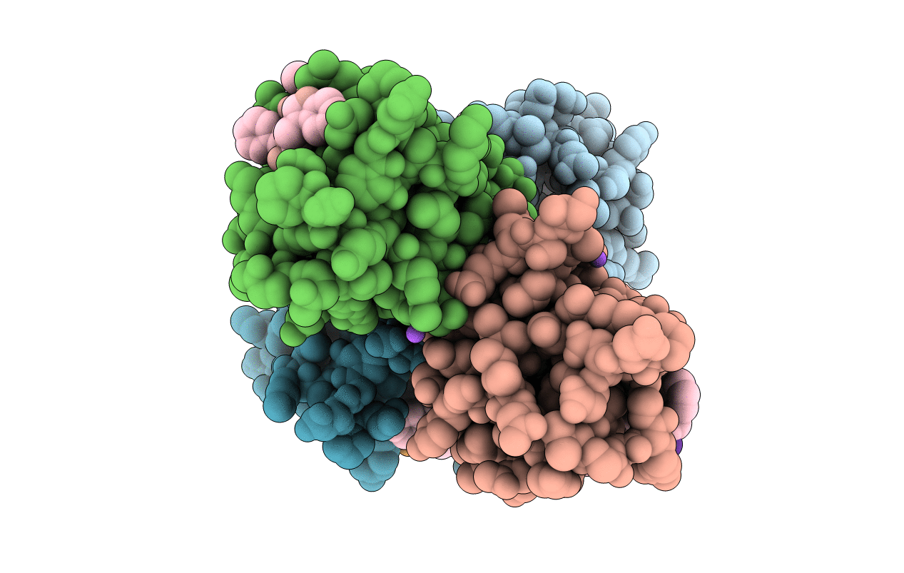 6UBH image