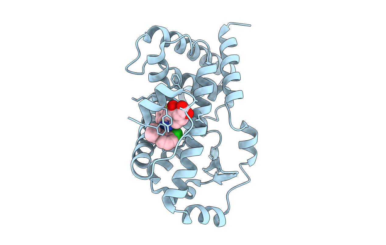 6UCG image