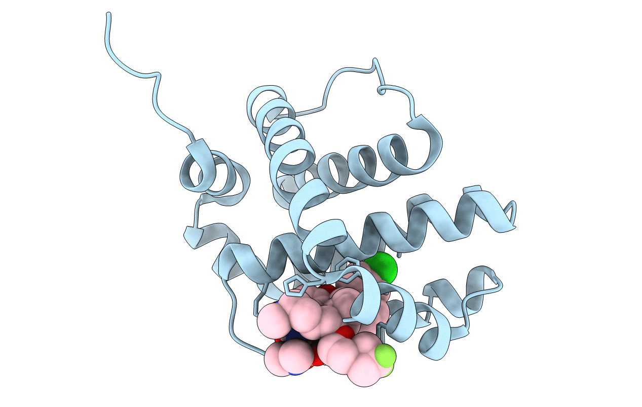 6UD2 image
