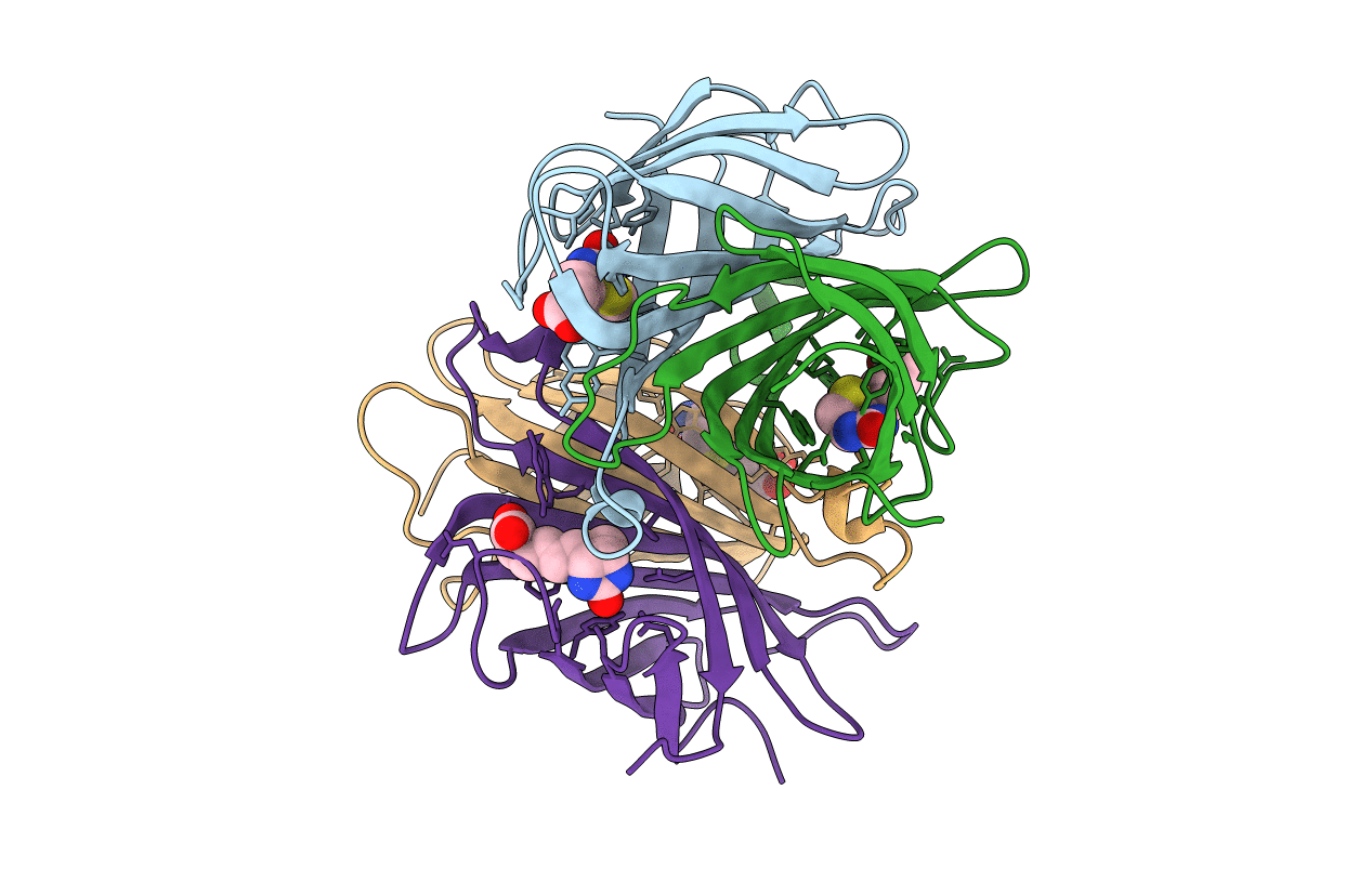 6UDC image