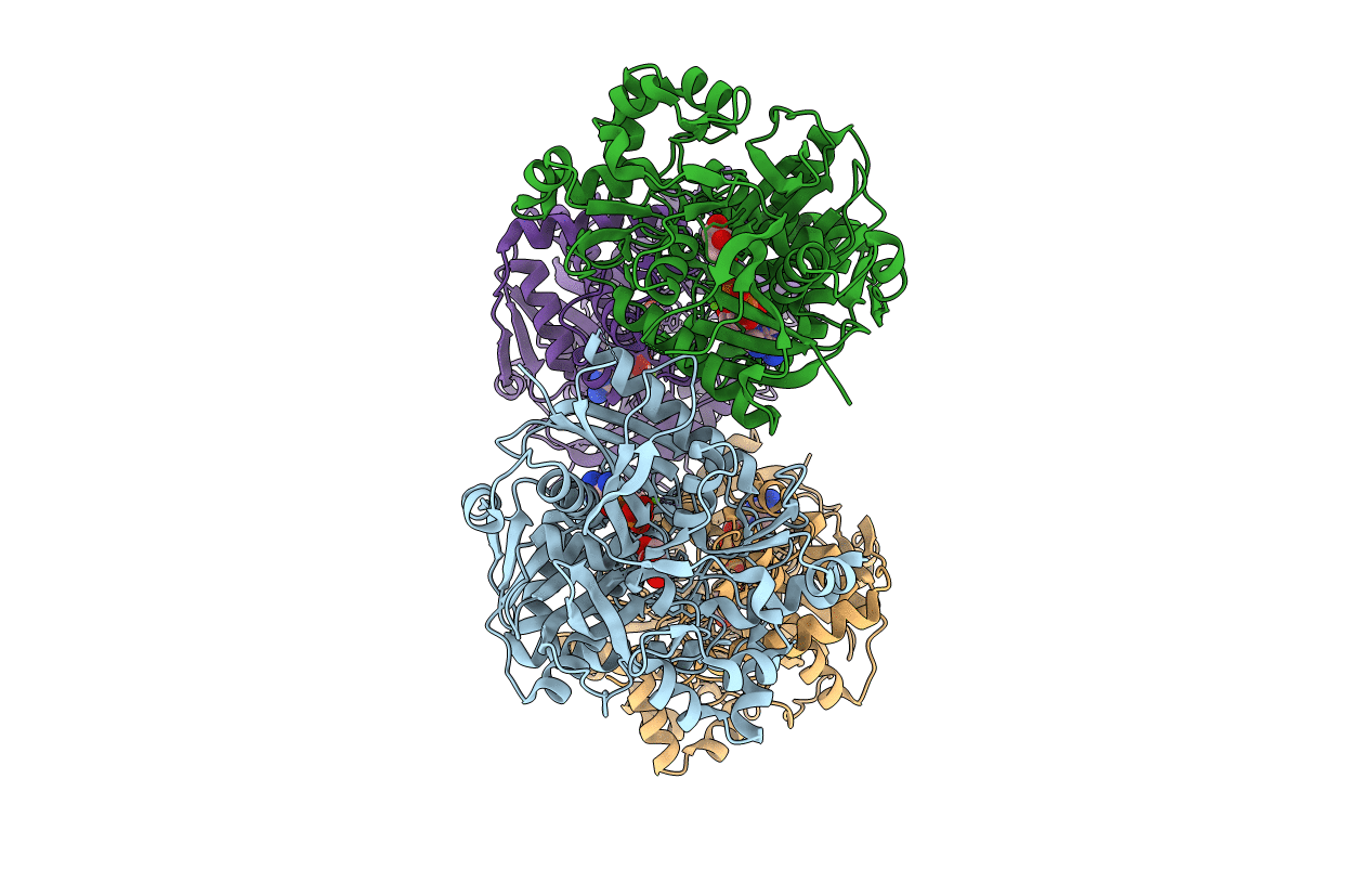 6UDE image
