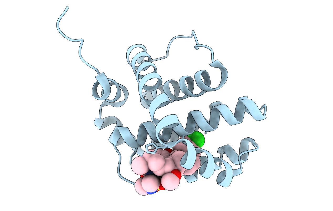 6UDI image