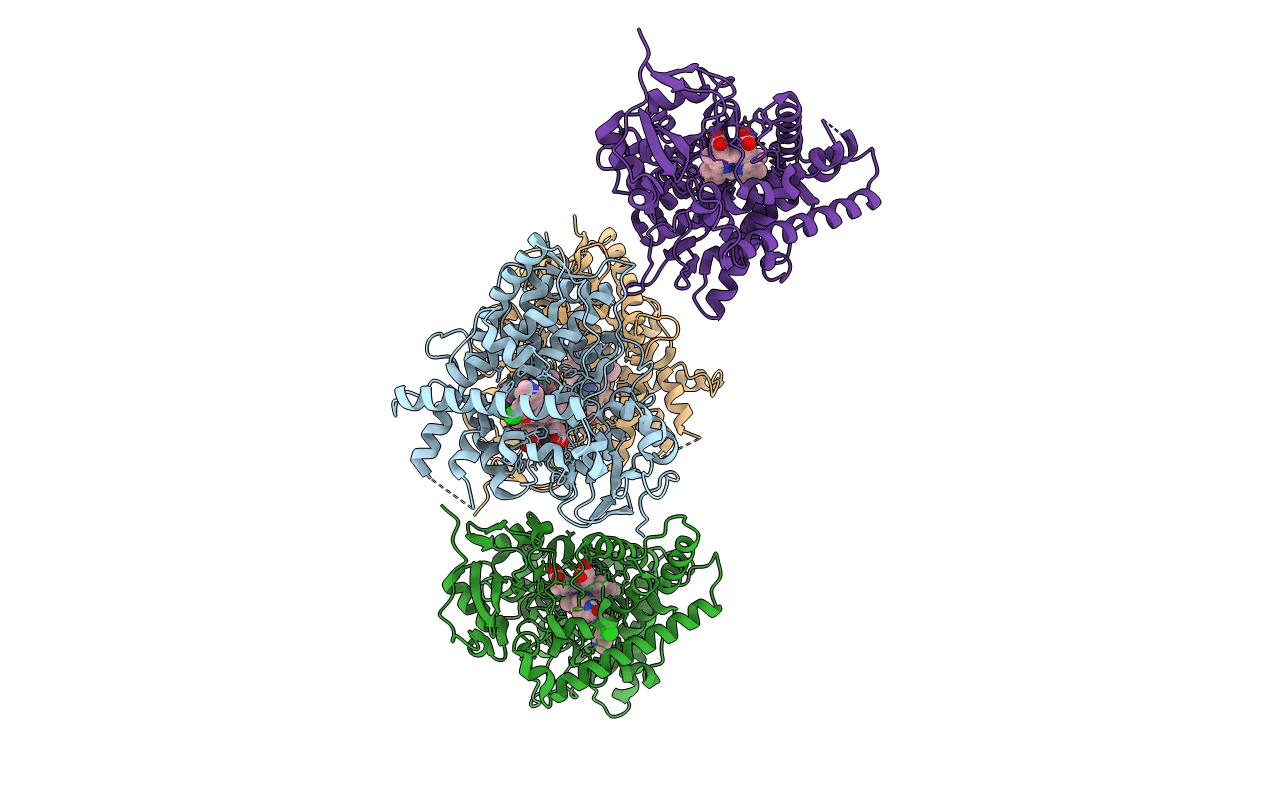 6UDL image