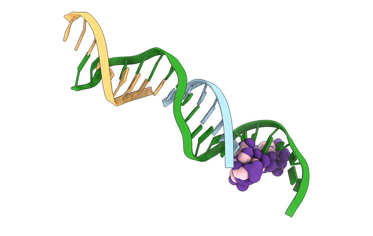 6UDN image