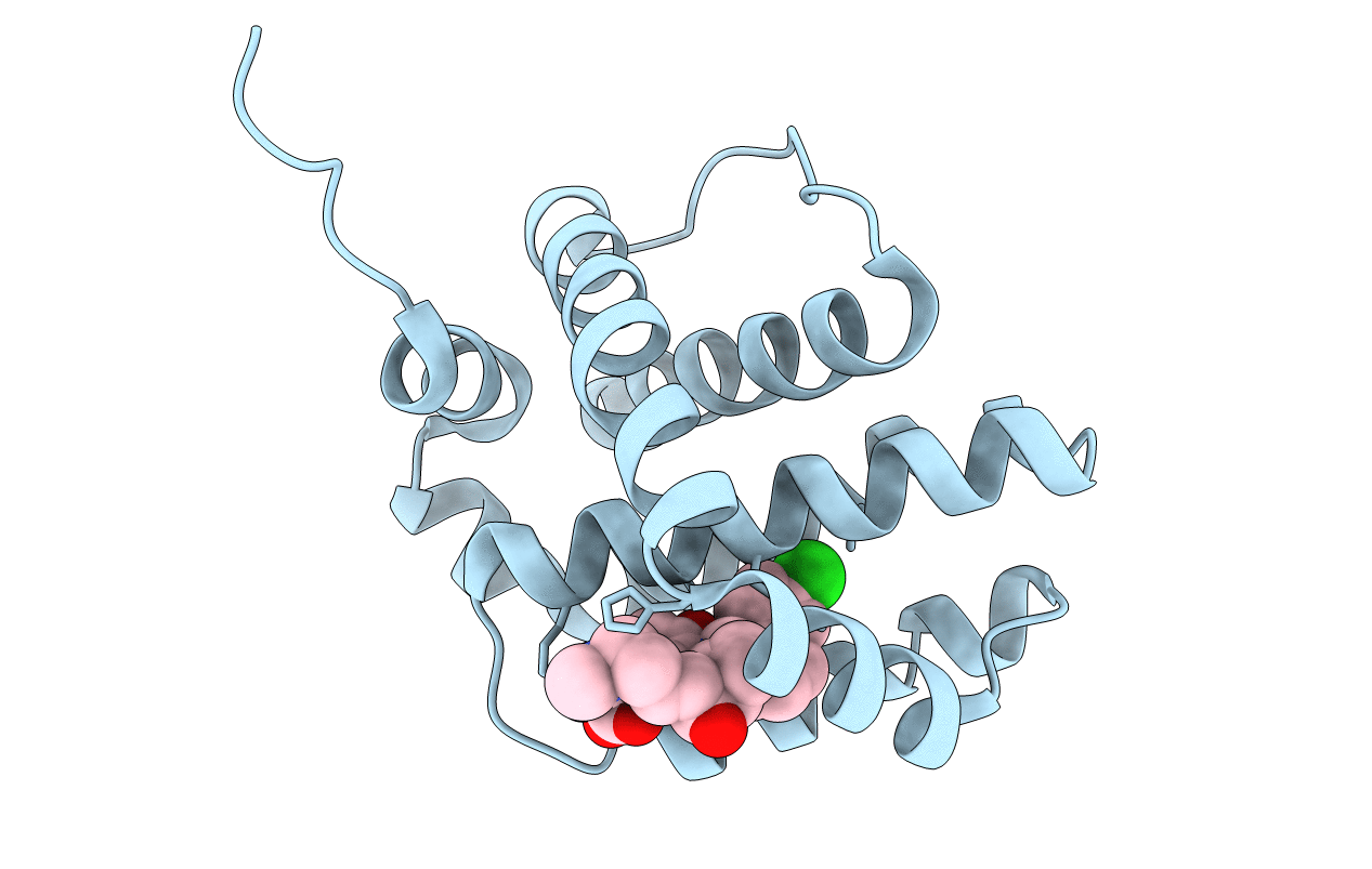 6UDT image